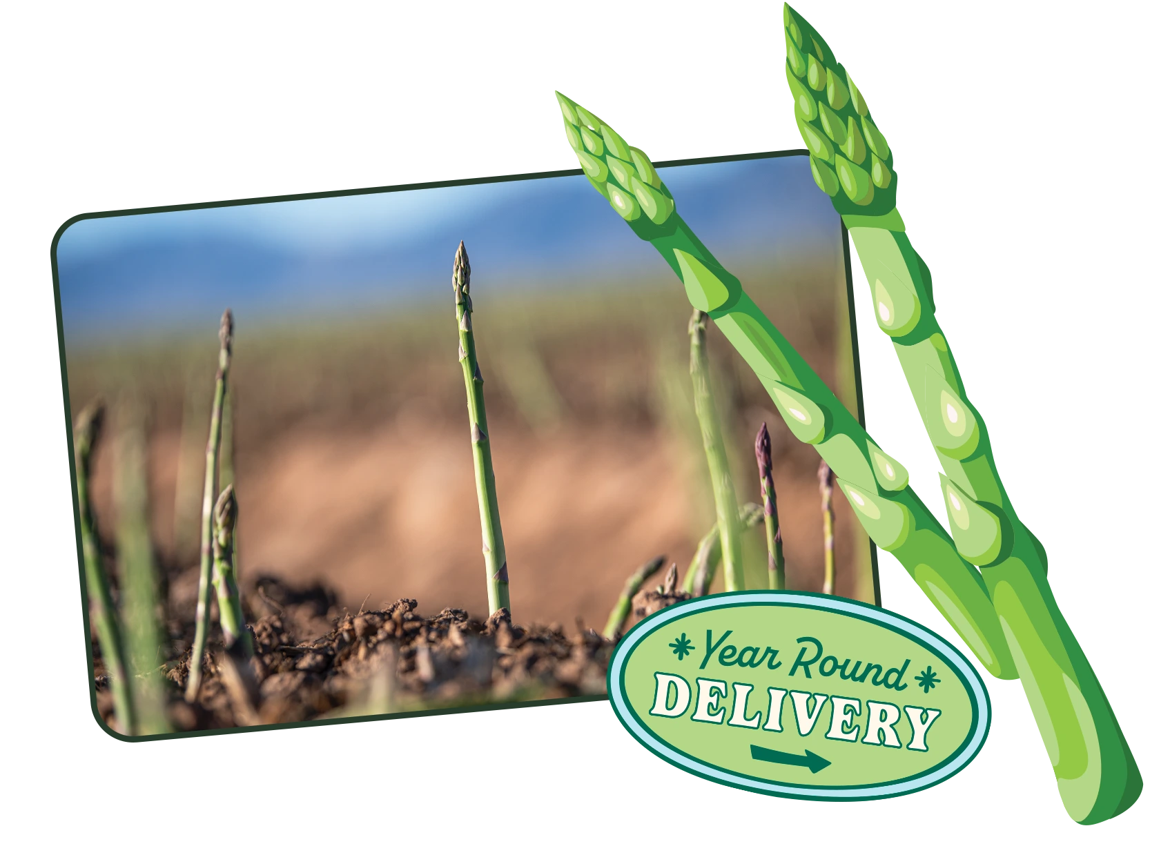Asparagus with a 'Year Round Delivery' label on a blurred natural background