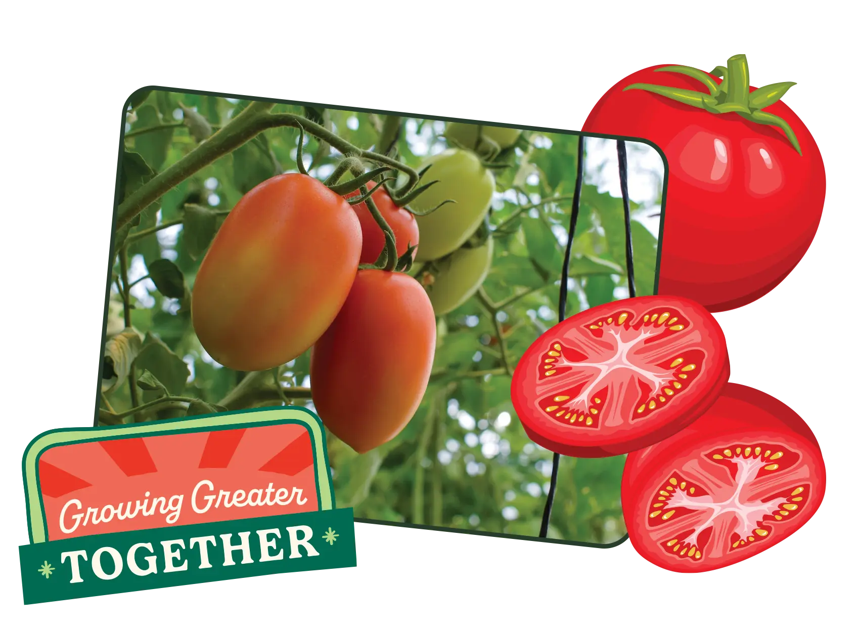 Tomatoes on a branch with sliced tomatoes and a 'Growing Greater Together' label.