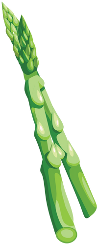 Vegetable decoration