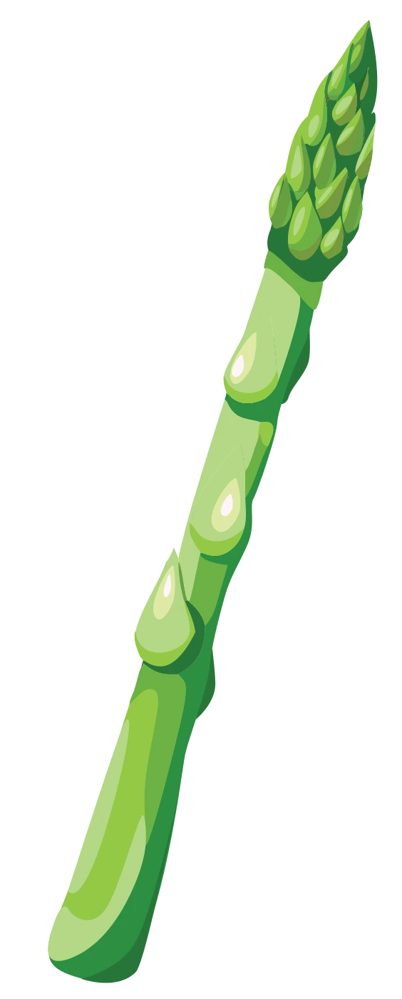 Vegetable decoration