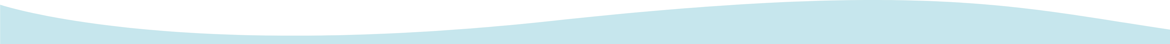 Section divider