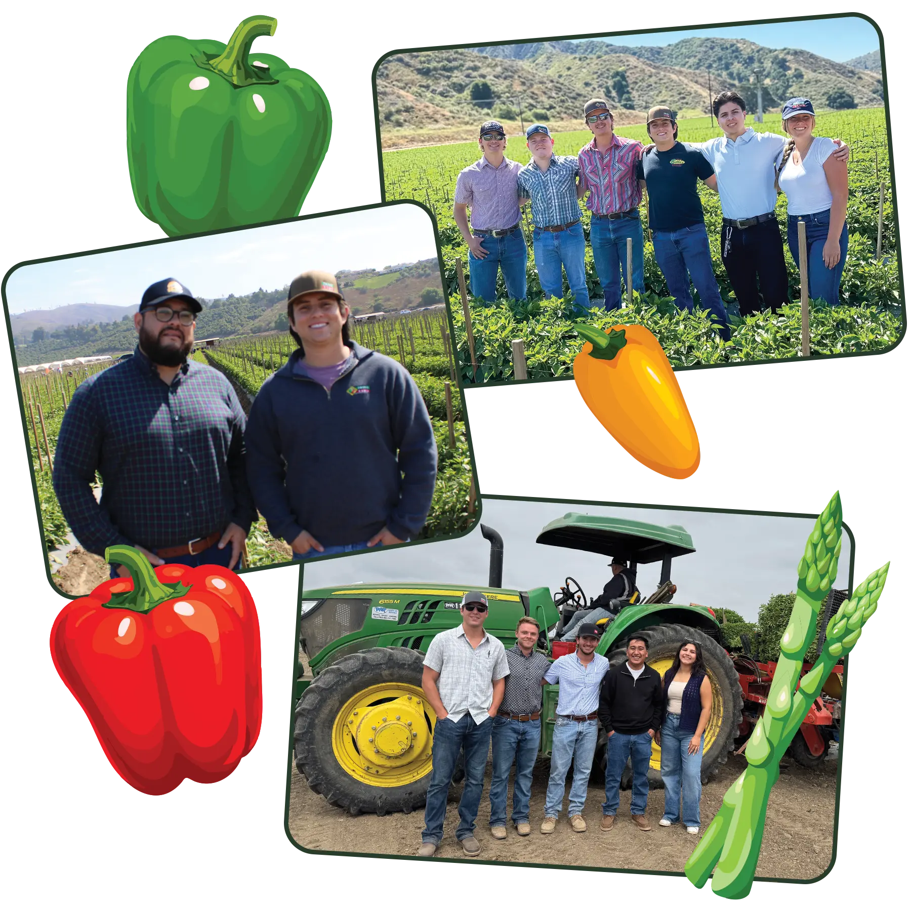 Collage of people in a vineyard with images of peppers and asparagus.