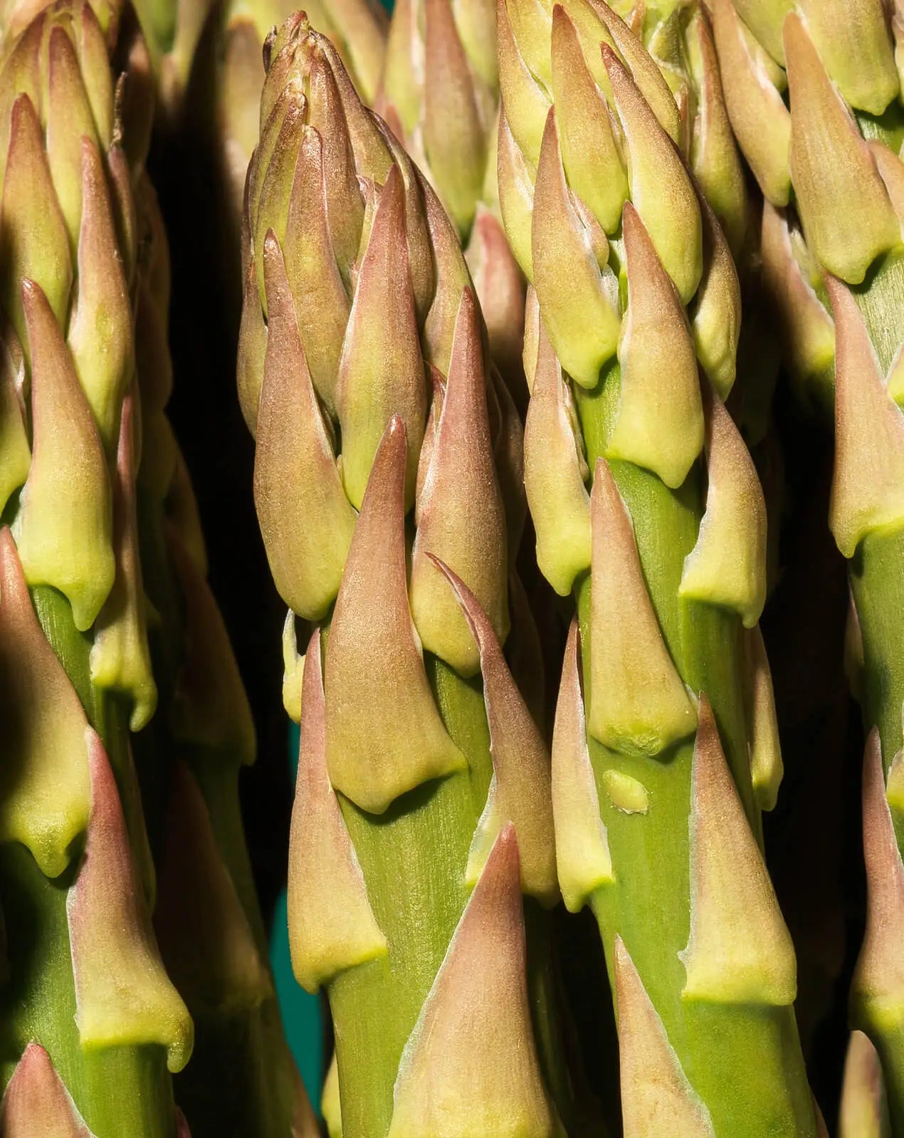 Asparagus
