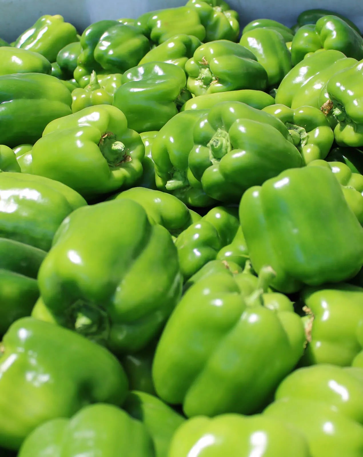 Bell Peppers