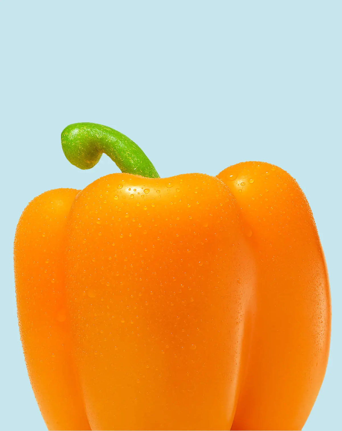 Bell Peppers
