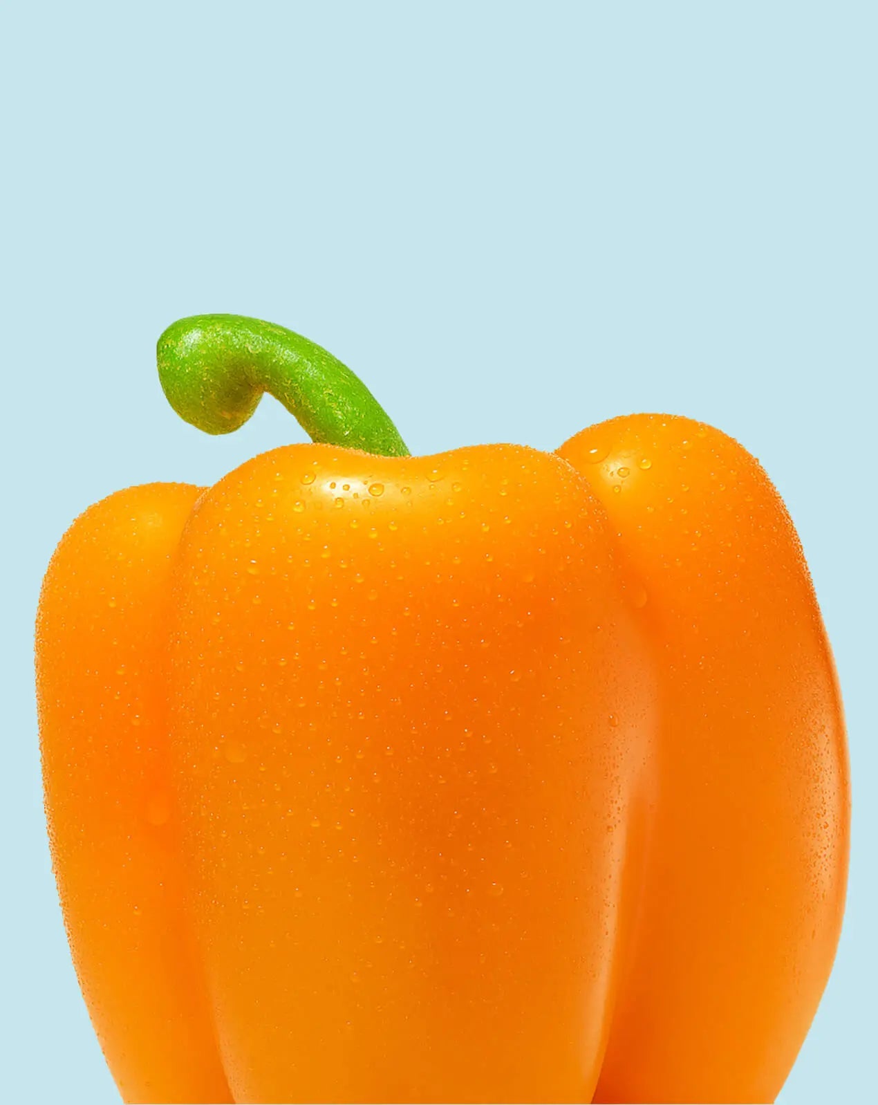 Bell Peppers