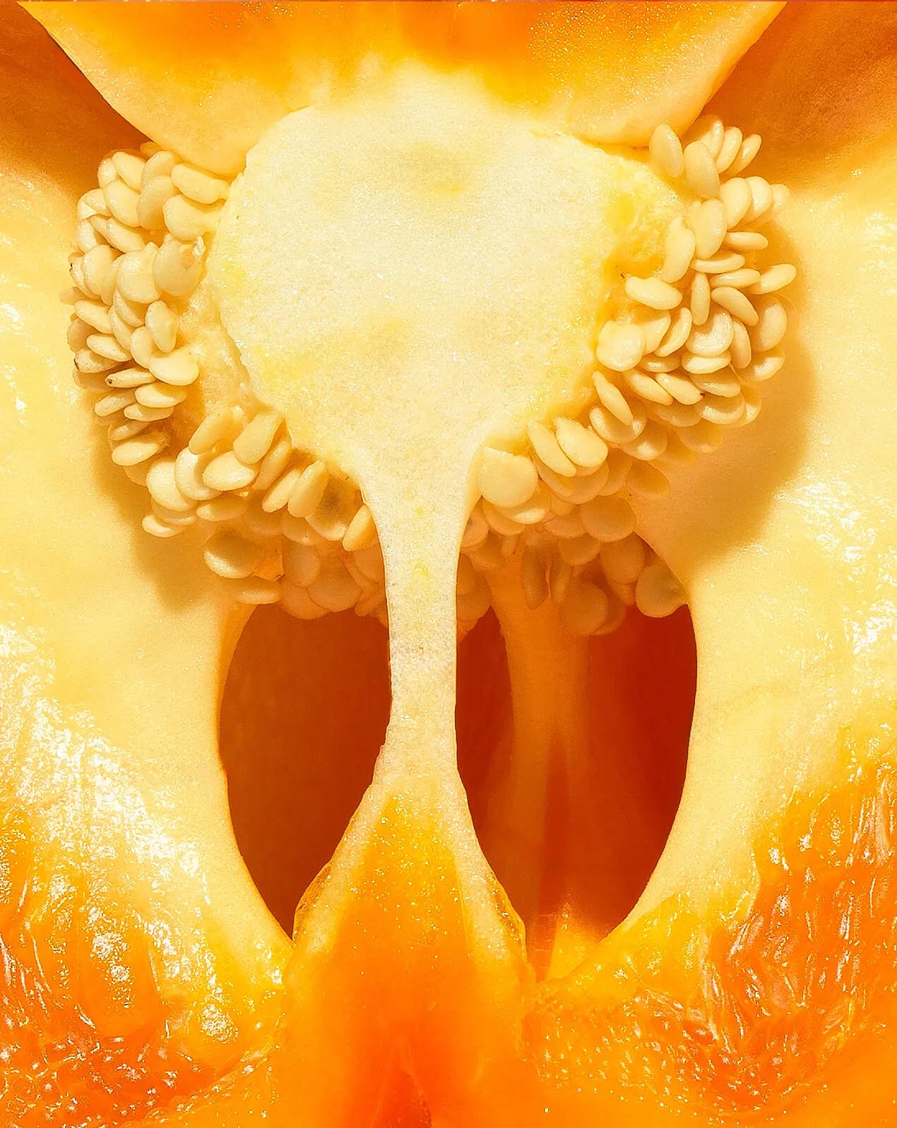 Bell Peppers