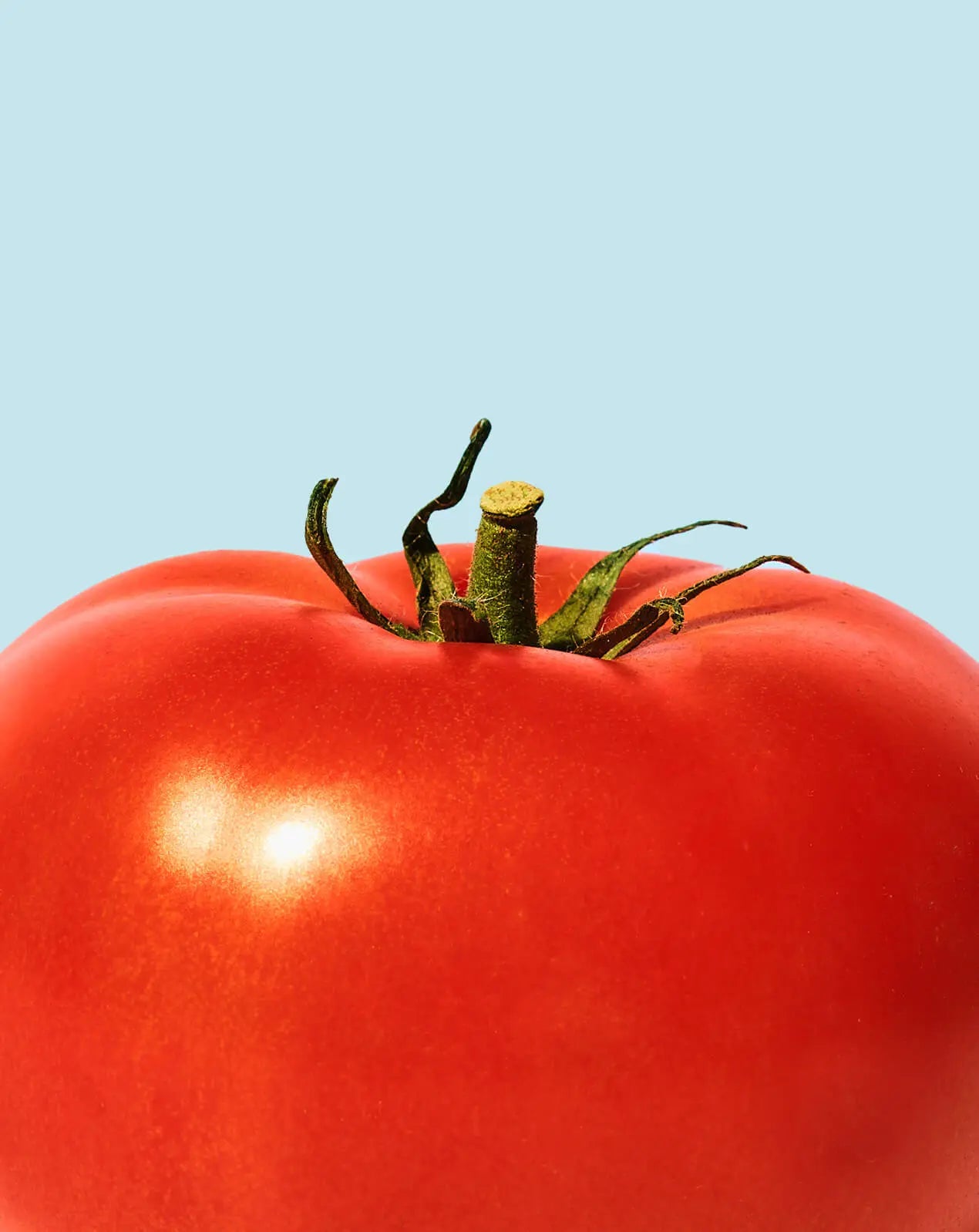 Tomatoes