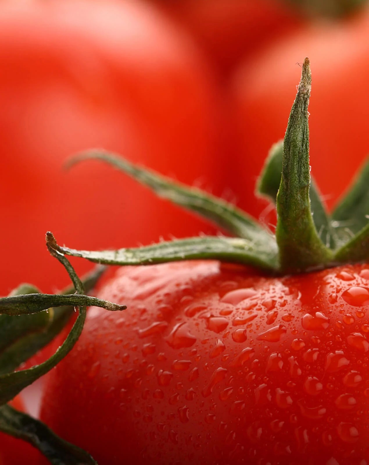 Tomatoes