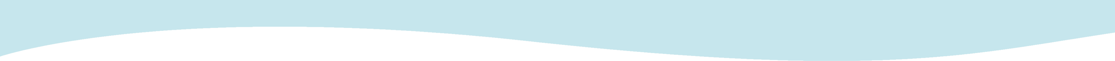 Section divider